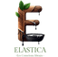 Elastica Logo