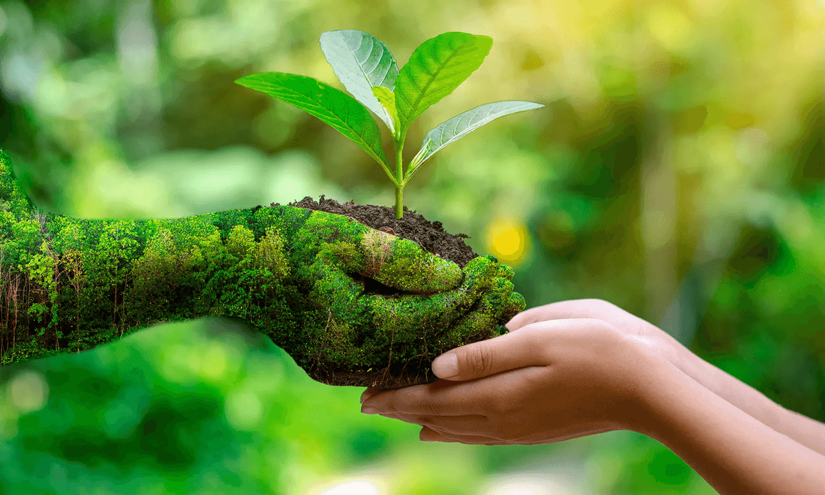 Elastica impact visualization